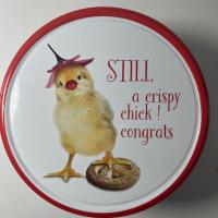 بیسکویت جعبه فلزی دانمارکی