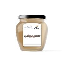 معجون پروتئین