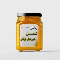 عسل جنگل هیرکانی