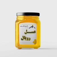 عسل رویال یک کیلوگرم - عسل نگین زاگرس
