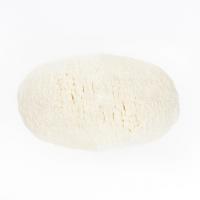 پودر آب پنیر خشک پروتئینی