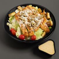 سالاد سزار(گریل) تهران پخت