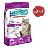 غذا خشک گربه بالغ Soloes