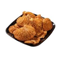 قارچ صدفی سوخاری