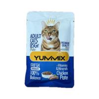 پوچ گربه بالغ YUMMIX یامیکس مرغ