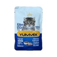 پوچ گربه بالغ YUMMIX یامیکس مرغ و جگر