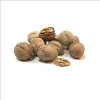 گردو با پوست ممتاز (500 گرم)