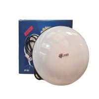 لامپ رشد سقفی 