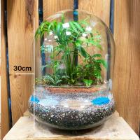 تراریوم درب دار