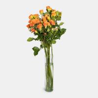 دسته گل رز مینیاتوری نارنجی