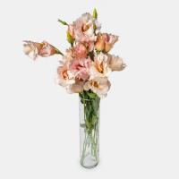 دسته گل لیسیانتوس گلبهی