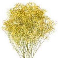 دسته گل عروس زرد