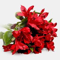 دسته گل آلسترومریا قرمز