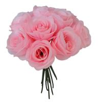 رز هلندی کالباسی