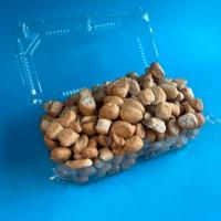 نان سالاد سزار