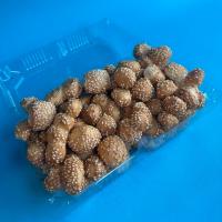 نان سالادی سير كنجدی