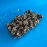 نان سالادی سزار جو کنجدی