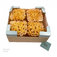 شیرینی پنجره ای