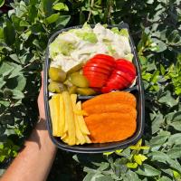 خوراک شنیسل مرغ