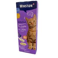 پک بستنی وینستون گربه طعم گوشت و پنیر