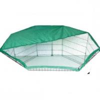 سقف بزرنتی پارک سگ رنگ کرم