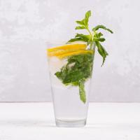 دیتاکس لیمو ونعنا