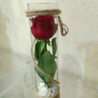 شیشه گل