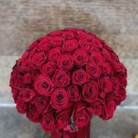 دسته گل رز هلندی قرمز 100شاخه