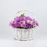 سبد گل بهاره داوودی (شماره 1) تم صورتی
