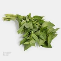 سبزی ریحان سبز پاک شده 