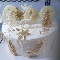 کیک دونفره زمستانی 