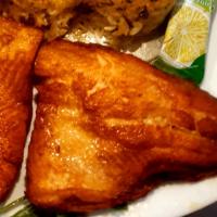 خوراک ماهی قزل آلا