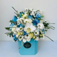 سبد هارد باکس آبی