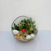 تراریوم بزرگ