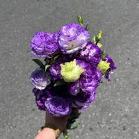 دسته گل لیسینتوس لب بنفش پُرپر