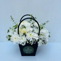 باکس ملورین تسلیت