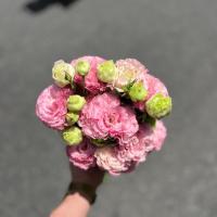 دسته گل لیسینتوس صورتی پُرپر