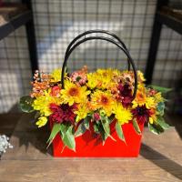 باکس ملورین پائیز