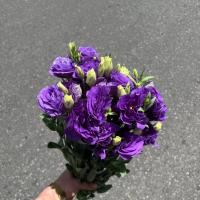 دسته گل لیسینتوس بنفش پُرپر