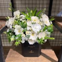 هارد باکس مشکی