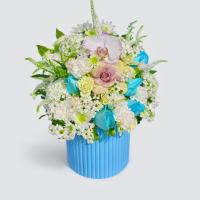 باکس خاطره آبی