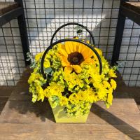 باکس بیبیگل دستهدار زرد