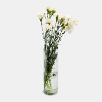 دسته گل میخک سفید