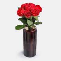 دسته گل رز قرمز 7 شاخه ساده