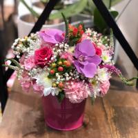 سطل گل سرخ ابی