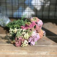 دسته گل آچیلا