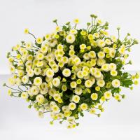 دسته گل مخلصه سفید