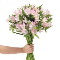 دسته گل آلسترومریا صورتی