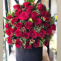باکس رز هلندی