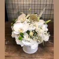 سطل گل سفید